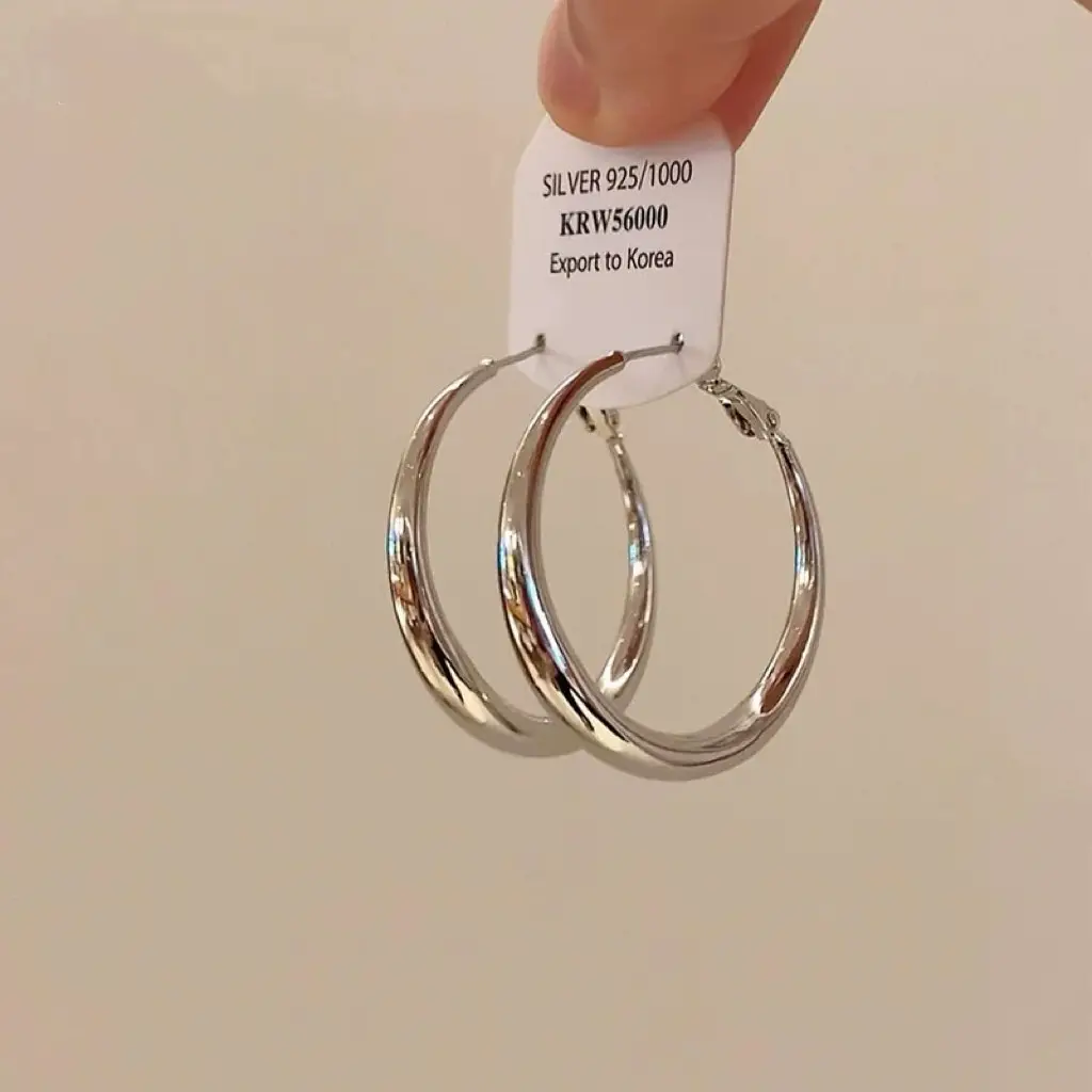 Minimalist Silver Needle Round Hoop Earrings Simple Fashion Commuter Personality Versatile Earrings Light Luxury High-End Earrings