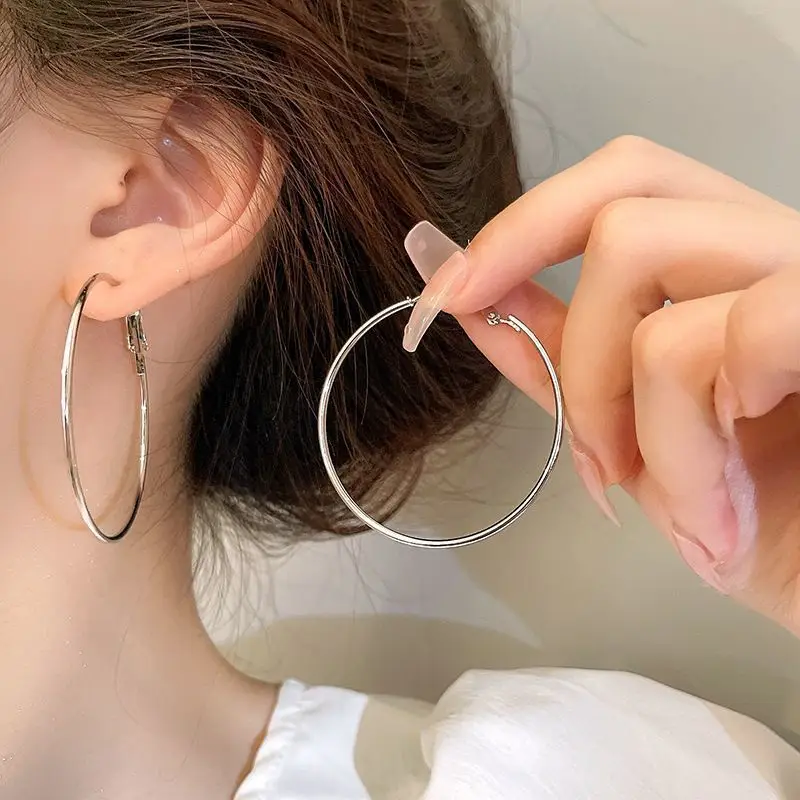 Minimalist Silver Needle Round Hoop Earrings Simple Fashion Commuter Personality Versatile Earrings Light Luxury High-End Earrings