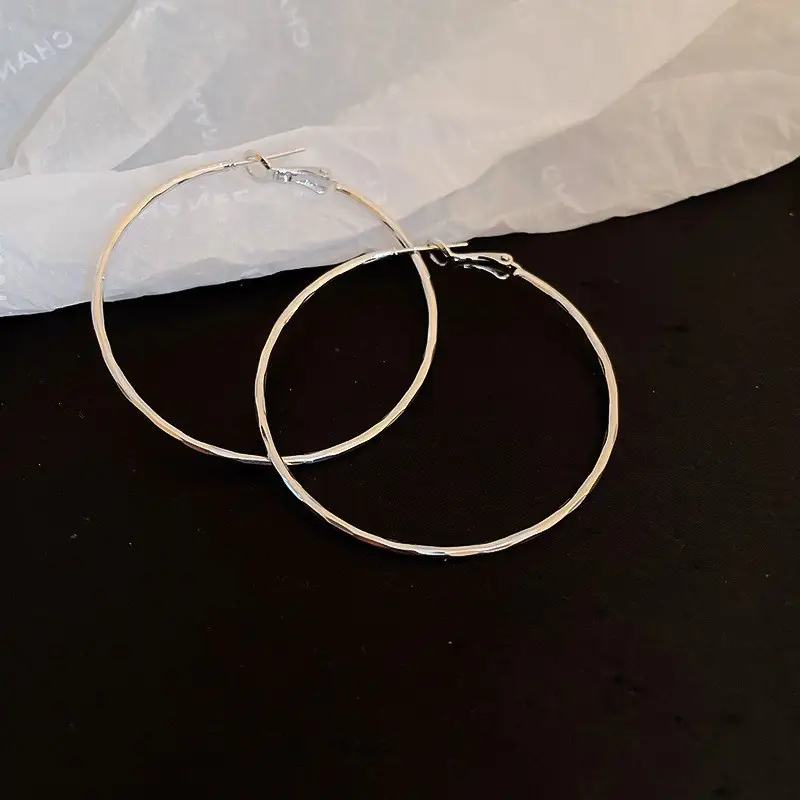 Minimalist Silver Needle Round Hoop Earrings Simple Fashion Commuter Personality Versatile Earrings Light Luxury High-End Earrings