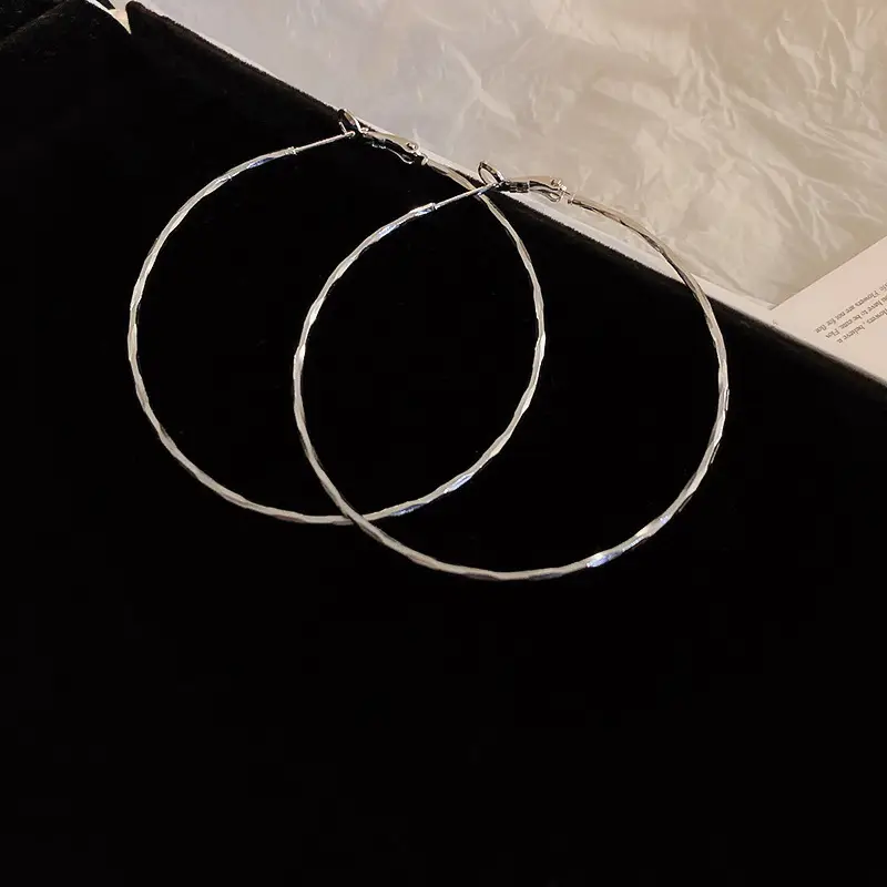 Minimalist Silver Needle Round Hoop Earrings Simple Fashion Commuter Personality Versatile Earrings Light Luxury High-End Earrings