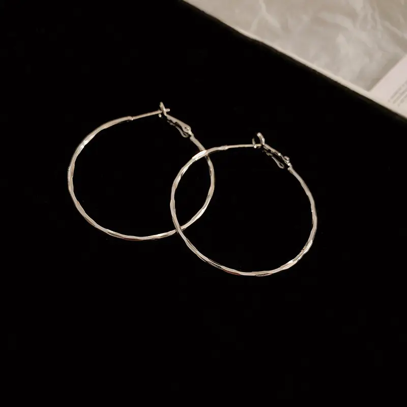 Minimalist Silver Needle Round Hoop Earrings Simple Fashion Commuter Personality Versatile Earrings Light Luxury High-End Earrings