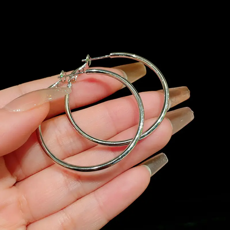 Minimalist Silver Needle Round Hoop Earrings Simple Fashion Commuter Personality Versatile Earrings Light Luxury High-End Earrings
