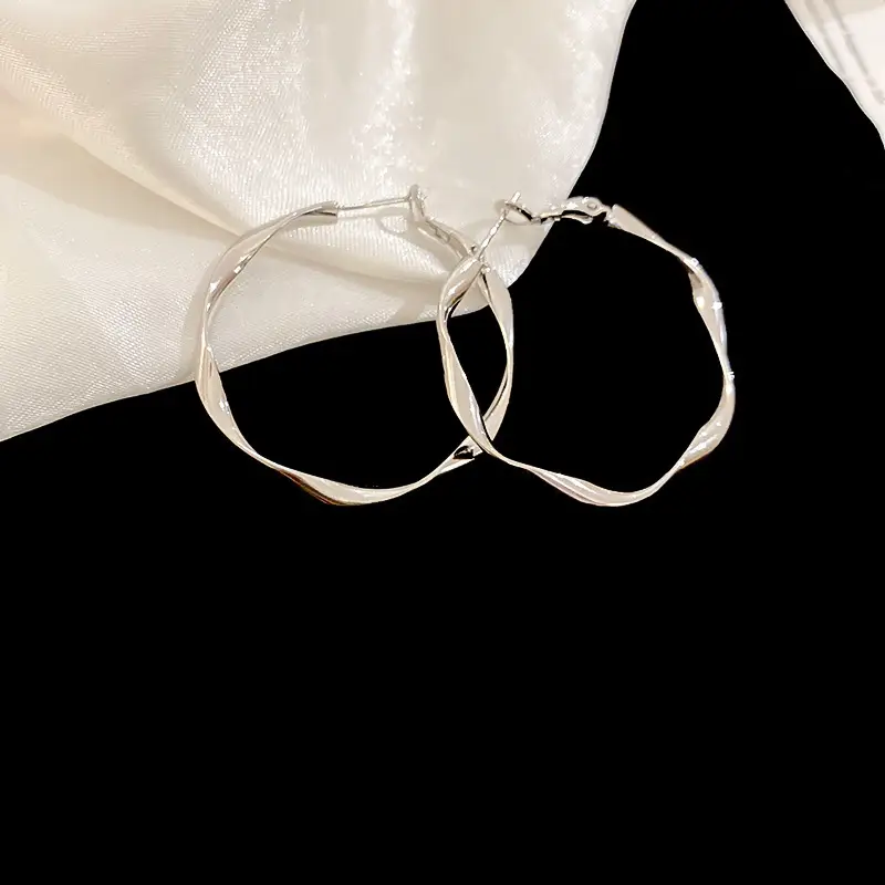Minimalist Silver Needle Round Hoop Earrings Simple Fashion Commuter Personality Versatile Earrings Light Luxury High-End Earrings