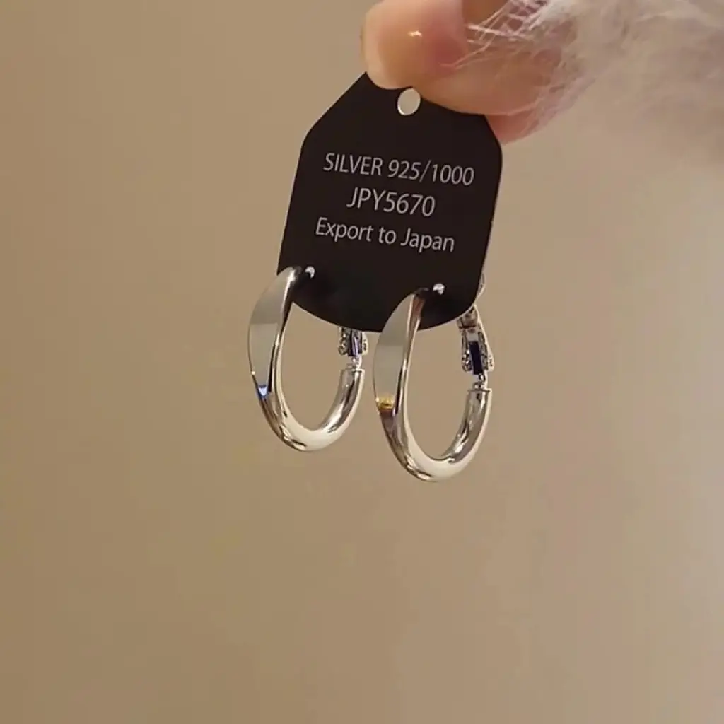 Minimalist Silver Needle Round Hoop Earrings Simple Fashion Commuter Personality Versatile Earrings Light Luxury High-End Earrings