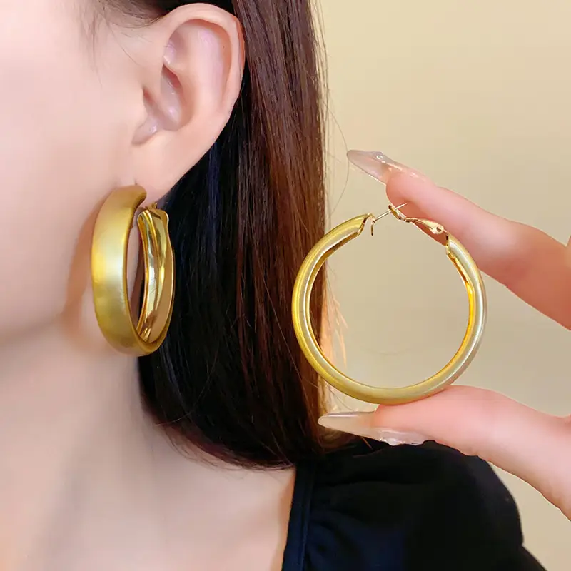 Minimalist Silver Needle Round Hoop Earrings Simple Fashion Commuter Personality Versatile Earrings Light Luxury High-End Earrings