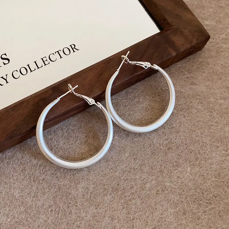 Minimalist Silver Needle Round Hoop Earrings Simple Fashion Commuter Personality Versatile Earrings Light Luxury High-End Earrings