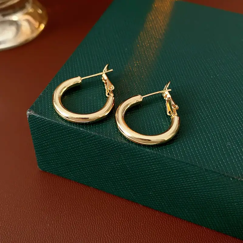 Minimalist Silver Needle Round Hoop Earrings Simple Fashion Commuter Personality Versatile Earrings Light Luxury High-End Earrings