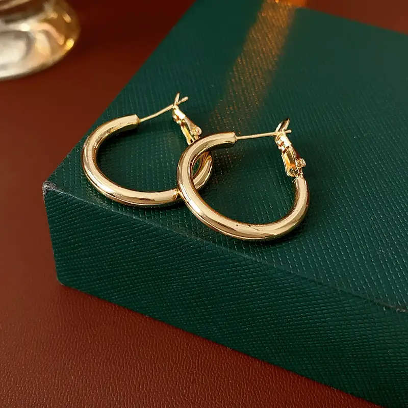 Minimalist Silver Needle Round Hoop Earrings Simple Fashion Commuter Personality Versatile Earrings Light Luxury High-End Earrings