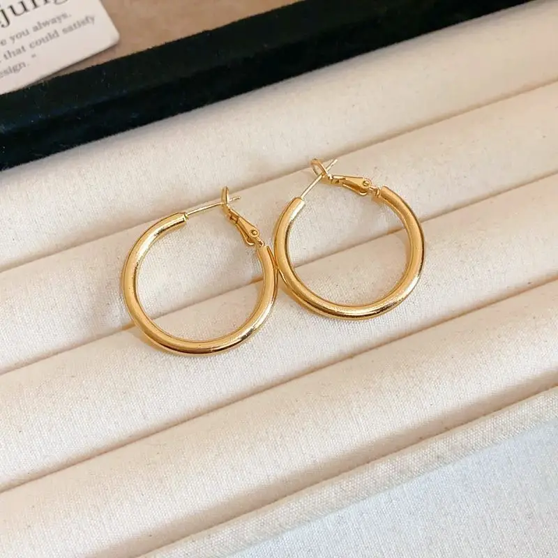 Minimalist Silver Needle Round Hoop Earrings Simple Fashion Commuter Personality Versatile Earrings Light Luxury High-End Earrings