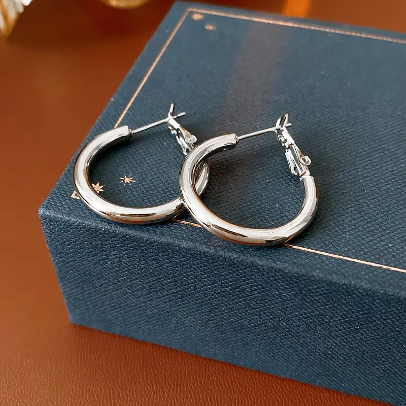 Minimalist Silver Needle Round Hoop Earrings Simple Fashion Commuter Personality Versatile Earrings Light Luxury High-End Earrings