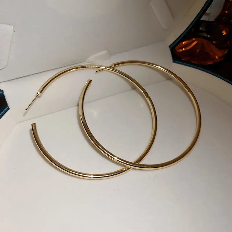 Minimalist Silver Needle Round Hoop Earrings Simple Fashion Commuter Personality Versatile Earrings Light Luxury High-End Earrings