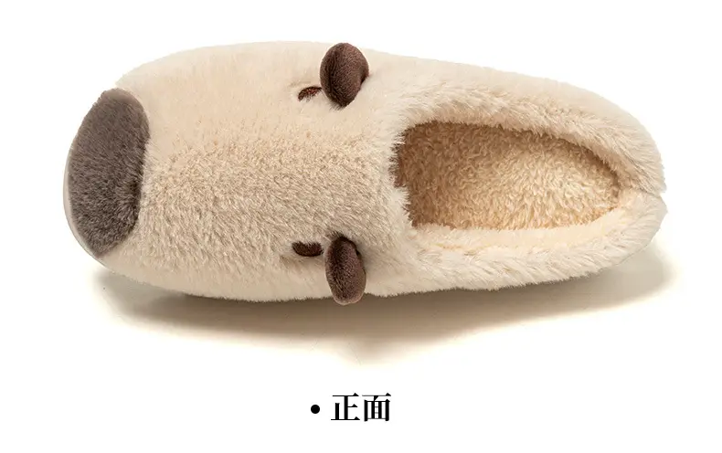 Women Warm Plush Cotton Slippers Autumn Winter Indoor Non-Slip — feature 15