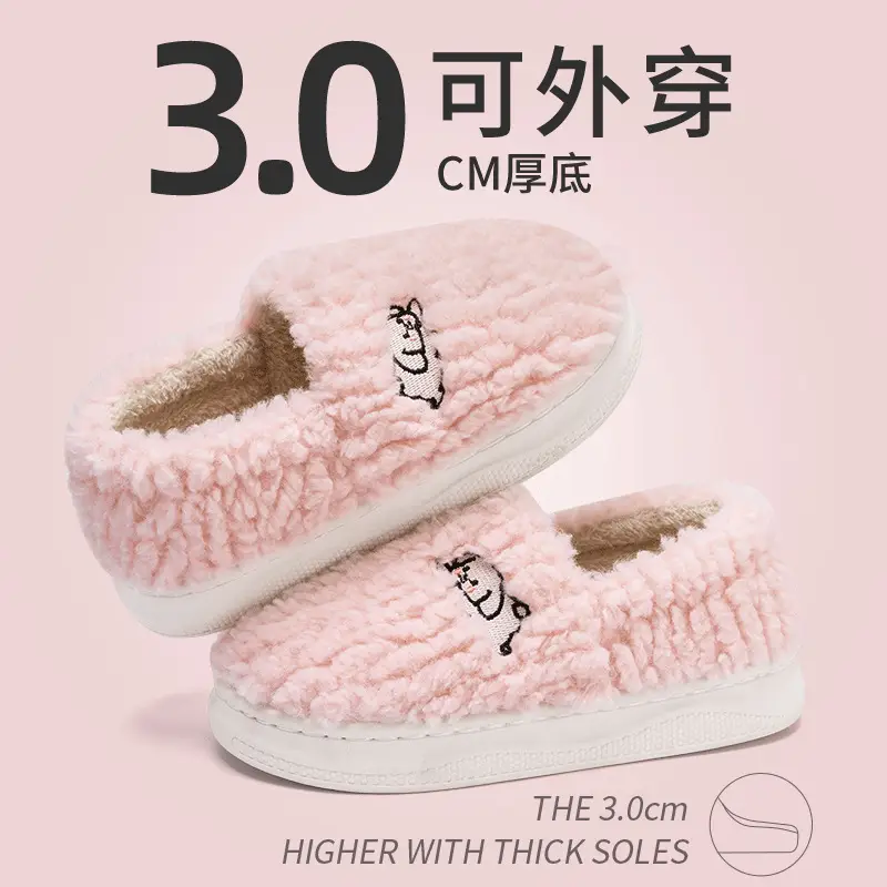 Women Winter Anti-Slip Cotton Slippers 2025 - Image 5