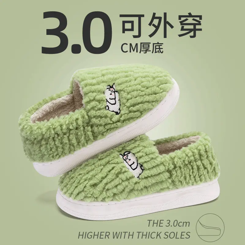 Women Winter Anti-Slip Cotton Slippers 2025 - Image 6