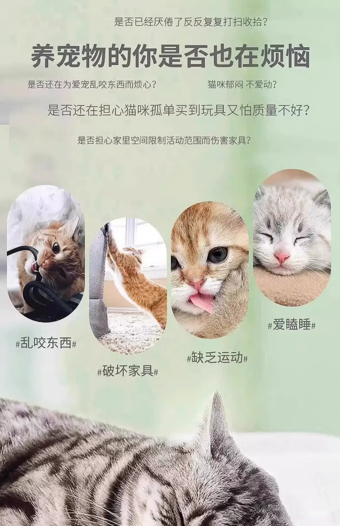 Cat Toy Feather Funny Cat Elastic Ball Stick Self-Pleasure and Boredom Relief Artifact Cat Interactive Energy-Consuming Pet Toy — feature 3