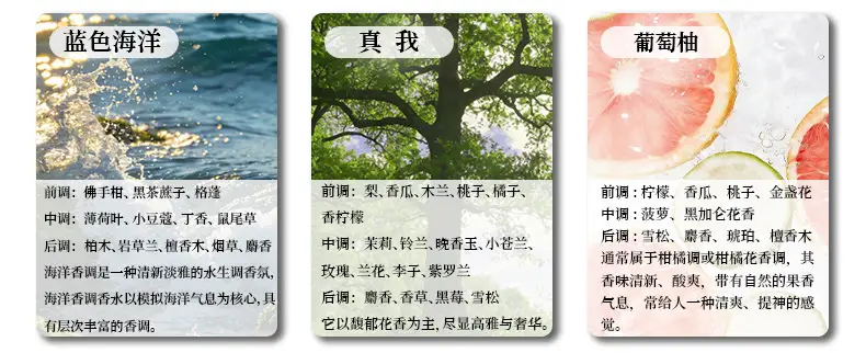 Suitable for Lantu Dreamer Free+ Zhiyin Ceramic White Stick Fragrance Diffuser Replacement Core Air Vent Car Fragrance — feature 10