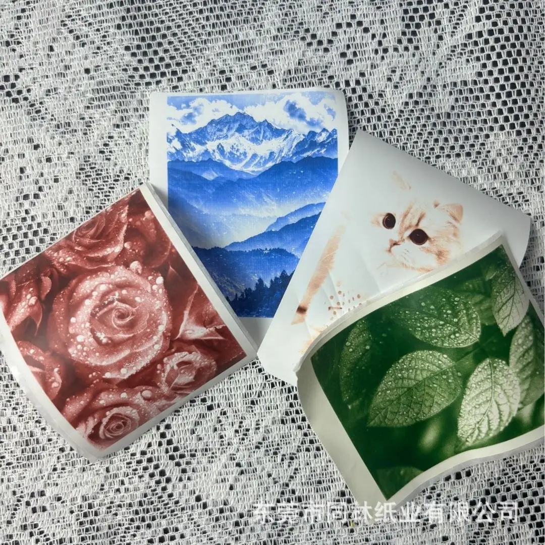 Children's Camera Instant Color Photo Paper Thermal Printing Paper 57*30 Meow Meow Error Correction Machine Color Adhesive Paper