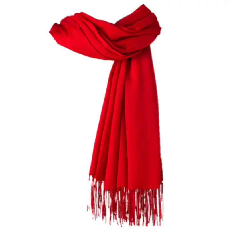 2020 Thin Imitation Cashmere Scarf Solid Color Tassel European and American Style Shawl Logo Gift Scarf Direct Sale - Image 38