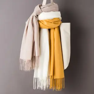 2020 Thin Imitation Cashmere Scarf Solid Color Tassel European and American Style Shawl Logo Gift Scarf Direct Sale — feature 13