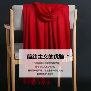 2020 Thin Imitation Cashmere Scarf Solid Color Tassel European and American Style Shawl Logo Gift Scarf Direct Sale — feature 3