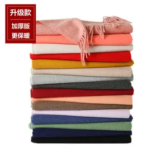 2020 Thin Imitation Cashmere Scarf Solid Color Tassel European and American Style Shawl Logo Gift Scarf Direct Sale — feature 5