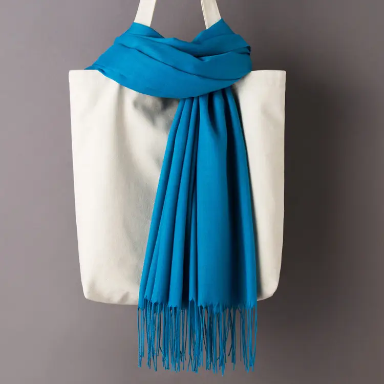2020 Thin Imitation Cashmere Scarf Solid Color Tassel European and American Style Shawl Logo Gift Scarf Direct Sale - Image 10