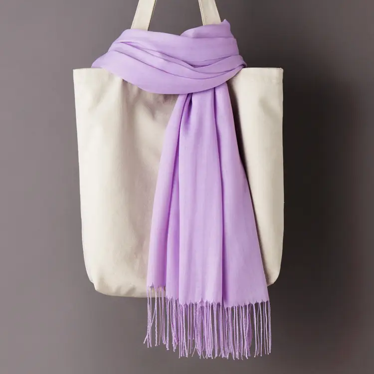 2020 Thin Imitation Cashmere Scarf Solid Color Tassel European and American Style Shawl Logo Gift Scarf Direct Sale - Image 12