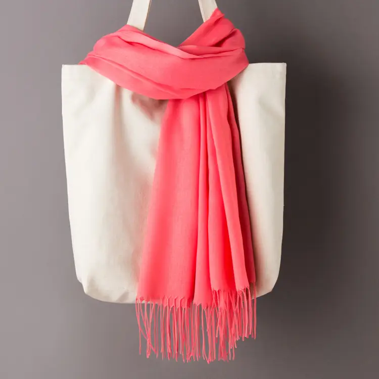 2020 Thin Imitation Cashmere Scarf Solid Color Tassel European and American Style Shawl Logo Gift Scarf Direct Sale - Image 13