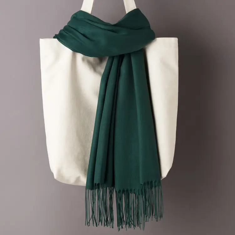 2020 Thin Imitation Cashmere Scarf Solid Color Tassel European and American Style Shawl Logo Gift Scarf Direct Sale - Image 16