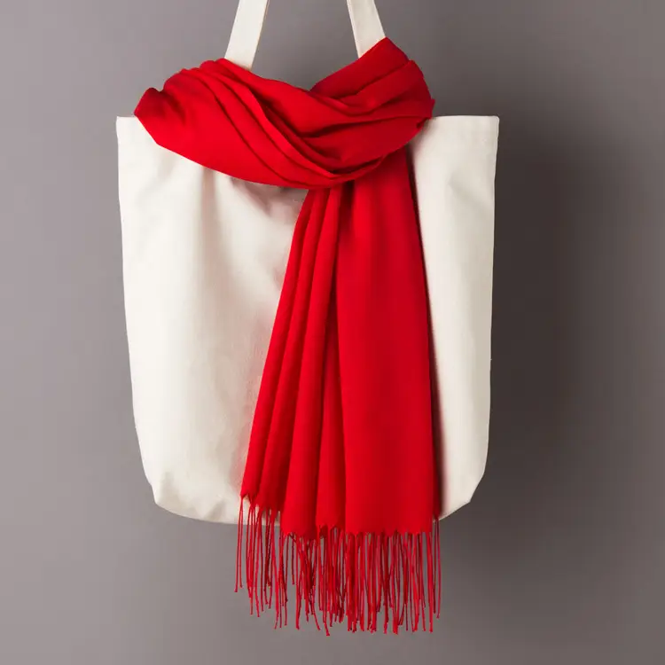 2020 Thin Imitation Cashmere Scarf Solid Color Tassel European and American Style Shawl Logo Gift Scarf Direct Sale - Image 2