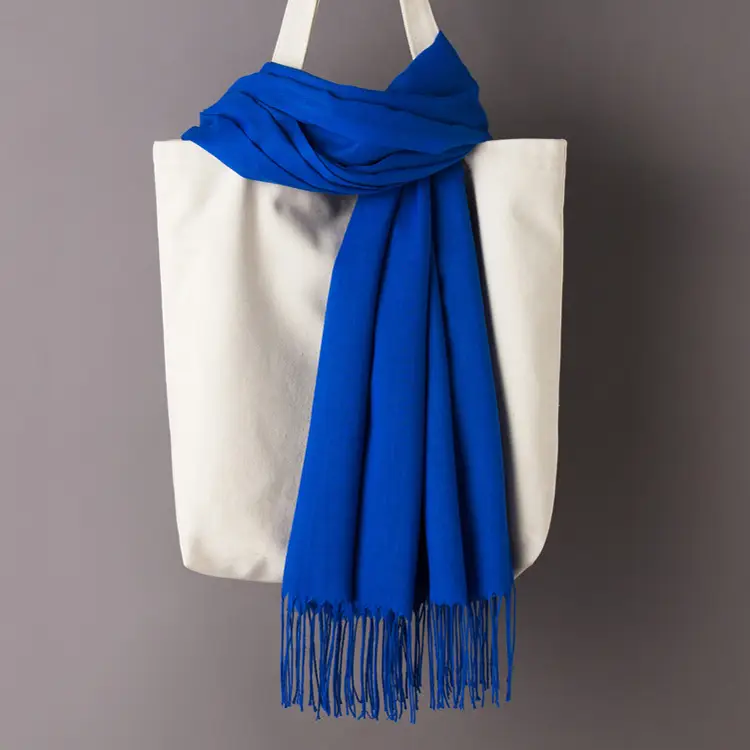2020 Thin Imitation Cashmere Scarf Solid Color Tassel European and American Style Shawl Logo Gift Scarf Direct Sale - Image 4