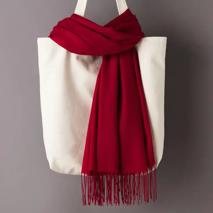2020 Thin Imitation Cashmere Scarf Solid Color Tassel European and American Style Shawl Logo Gift Scarf Direct Sale - Image 8