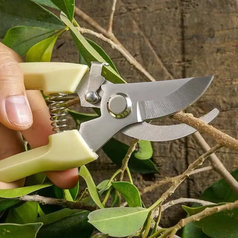 Pruning Shears for Thick Branches, Flower Shop Gardening Scissors, Stainless Steel Fruit Picking Scissors, Garden Scissors, Floral Household Pruning Scissors