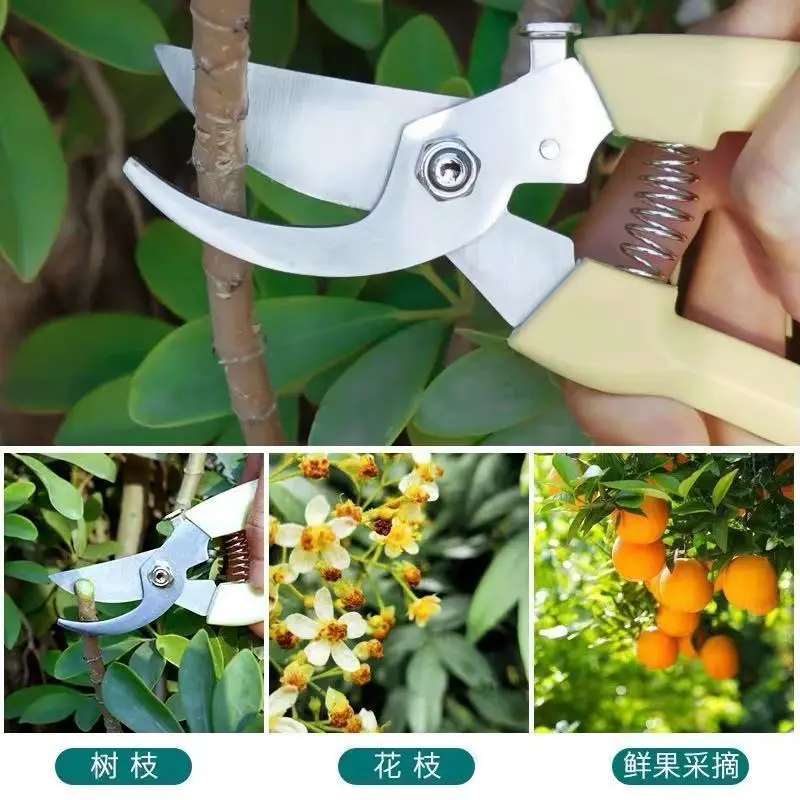 Pruning Shears for Thick Branches, Flower Shop Gardening Scissors, Stainless Steel Fruit Picking Scissors, Garden Scissors, Floral Household Pruning Scissors