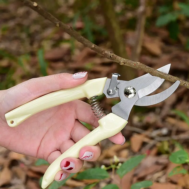 Pruning Shears for Thick Branches, Flower Shop Gardening Scissors, Stainless Steel Fruit Picking Scissors, Garden Scissors, Floral Household Pruning Scissors