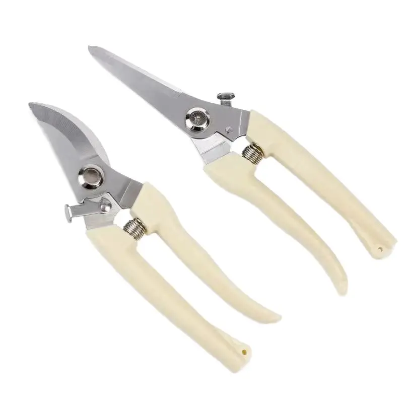 Pruning Shears for Thick Branches, Flower Shop Gardening Scissors, Stainless Steel Fruit Picking Scissors, Garden Scissors, Floral Household Pruning Scissors