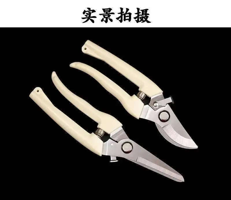 Pruning Shears for Thick Branches, Flower Shop Gardening Scissors, Stainless Steel Fruit Picking Scissors, Garden Scissors, Floral Household Pruning Scissors — feature 10