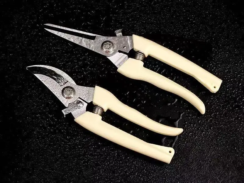 Pruning Shears for Thick Branches, Flower Shop Gardening Scissors, Stainless Steel Fruit Picking Scissors, Garden Scissors, Floral Household Pruning Scissors — feature 11