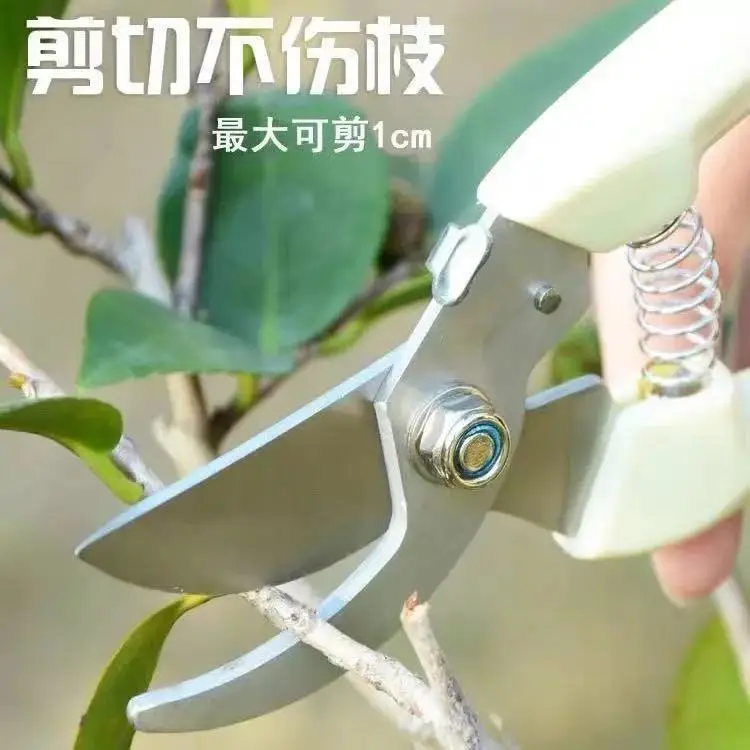 Pruning Shears for Thick Branches, Flower Shop Gardening Scissors, Stainless Steel Fruit Picking Scissors, Garden Scissors, Floral Household Pruning Scissors — feature 12