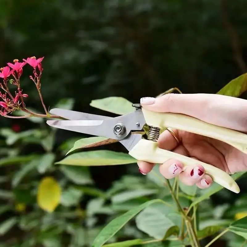 Pruning Shears for Thick Branches, Flower Shop Gardening Scissors, Stainless Steel Fruit Picking Scissors, Garden Scissors, Floral Household Pruning Scissors — feature 13