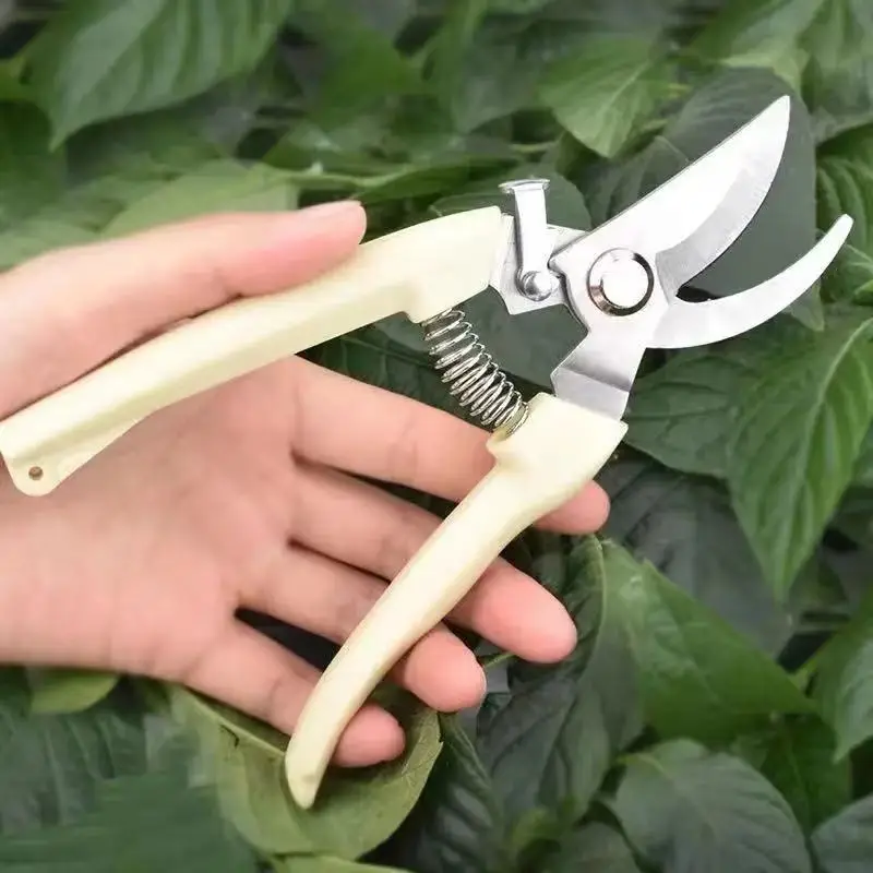 Pruning Shears for Thick Branches, Flower Shop Gardening Scissors, Stainless Steel Fruit Picking Scissors, Garden Scissors, Floral Household Pruning Scissors — feature 14