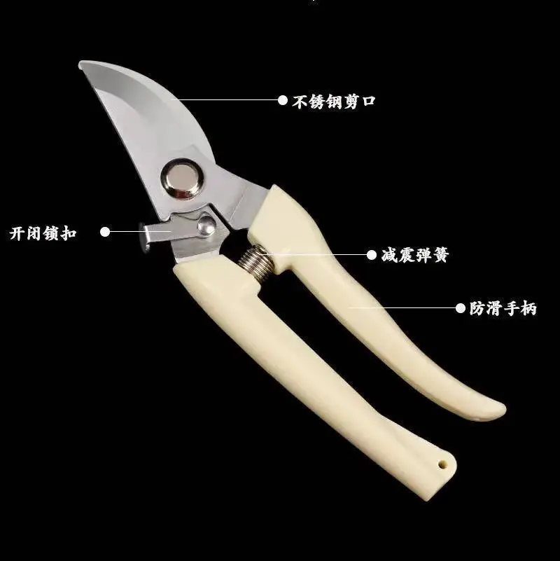 Pruning Shears for Thick Branches, Flower Shop Gardening Scissors, Stainless Steel Fruit Picking Scissors, Garden Scissors, Floral Household Pruning Scissors — feature 4