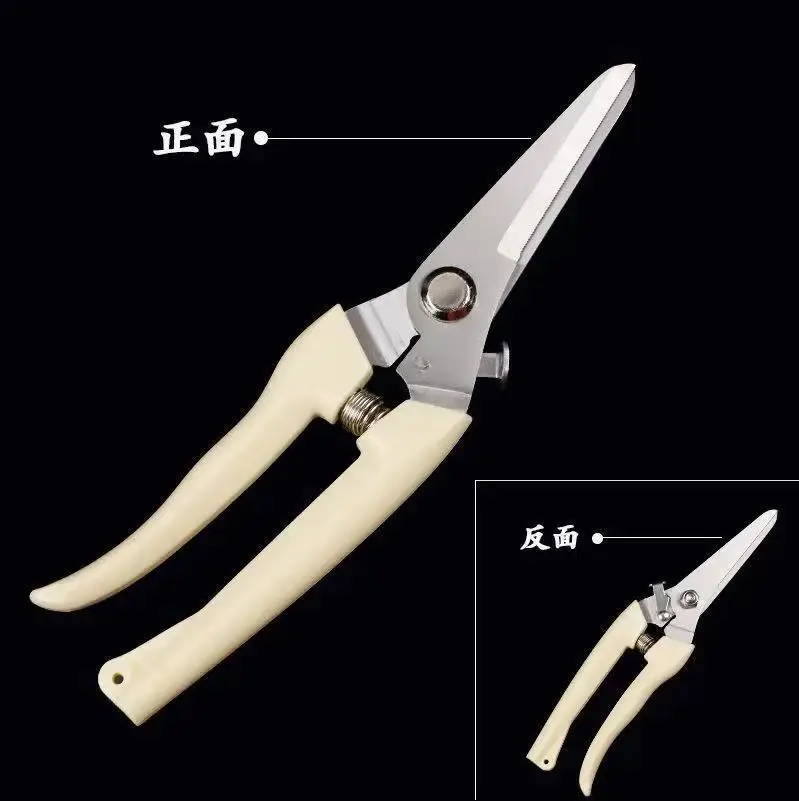 Pruning Shears for Thick Branches, Flower Shop Gardening Scissors, Stainless Steel Fruit Picking Scissors, Garden Scissors, Floral Household Pruning Scissors — feature 5