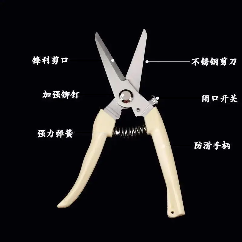Pruning Shears for Thick Branches, Flower Shop Gardening Scissors, Stainless Steel Fruit Picking Scissors, Garden Scissors, Floral Household Pruning Scissors — feature 6