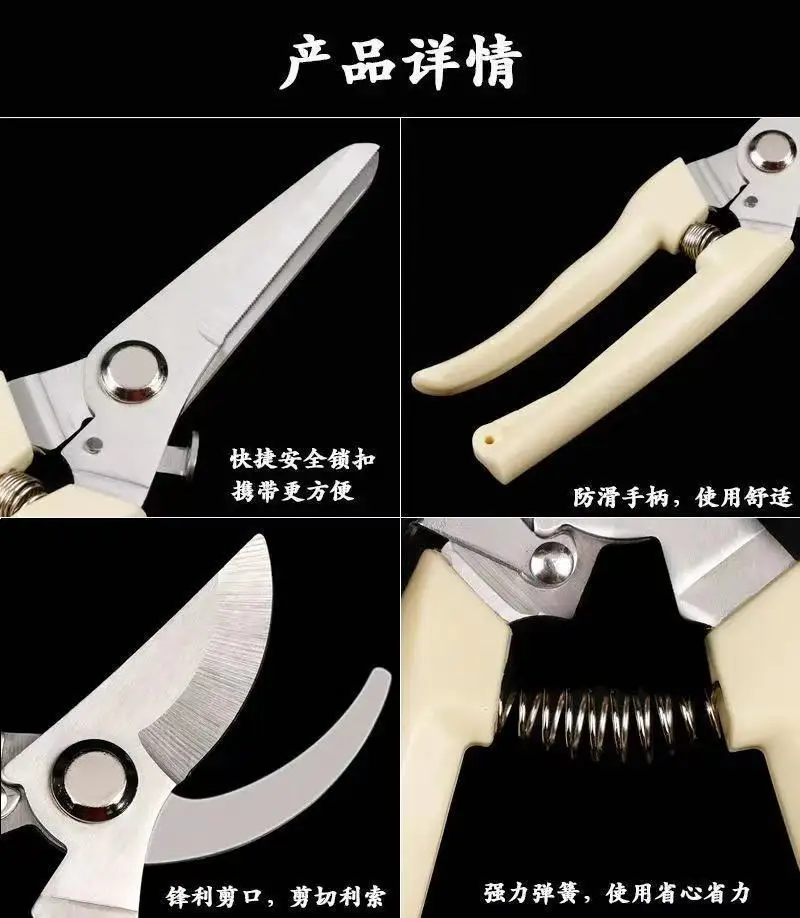 Pruning Shears for Thick Branches, Flower Shop Gardening Scissors, Stainless Steel Fruit Picking Scissors, Garden Scissors, Floral Household Pruning Scissors — feature 8