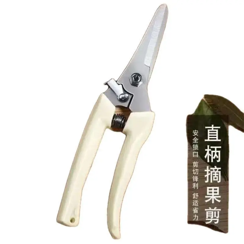 Pruning Shears for Thick Branches, Flower Shop Gardening Scissors, Stainless Steel Fruit Picking Scissors, Garden Scissors, Floral Household Pruning Scissors