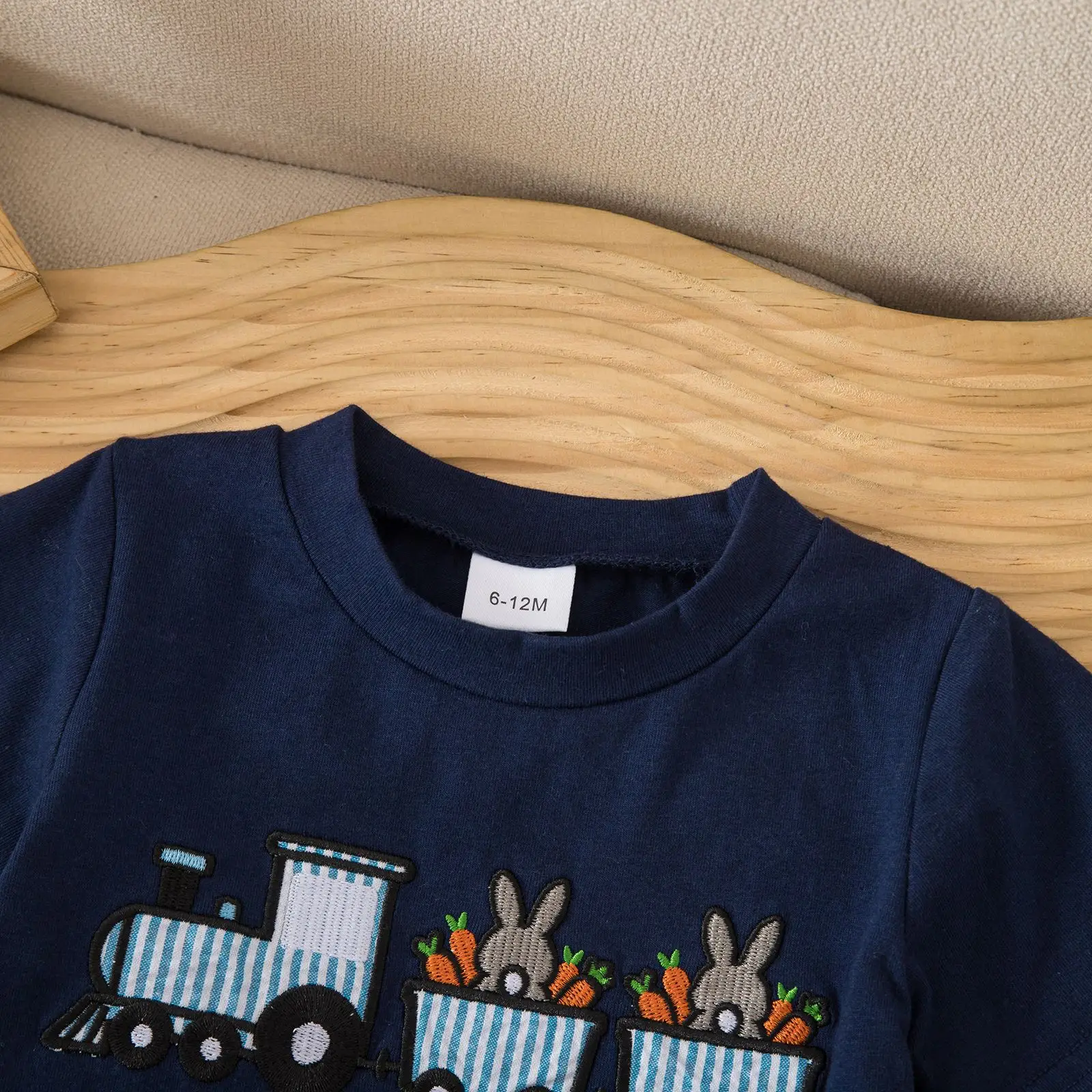 Foreign Trade Boys Easter Suit Carrot Embroidered Shorts Set — feature 14