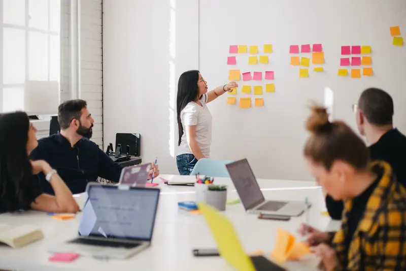 Management & Organization Summary