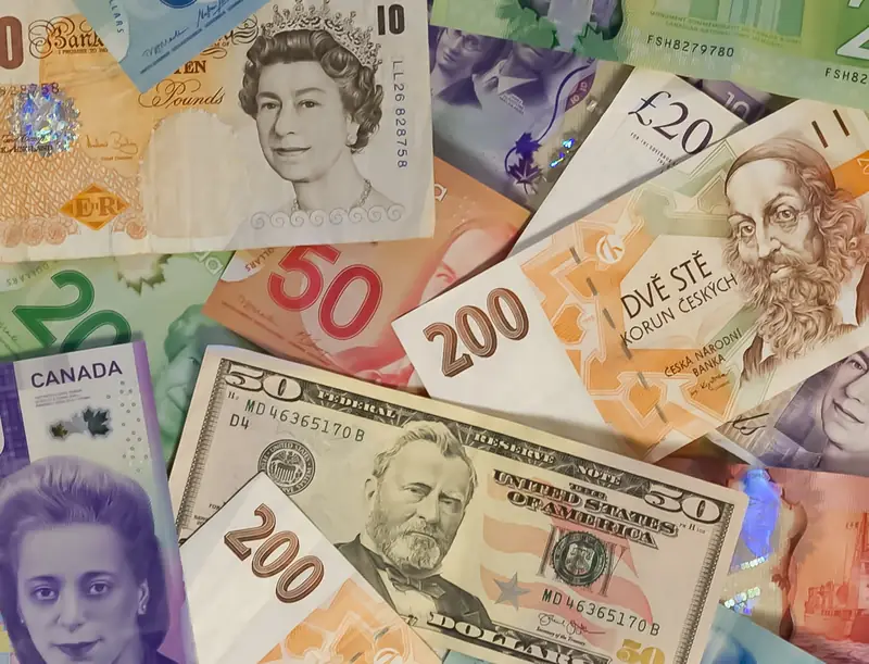  What is economies of scope?