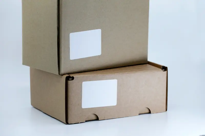 Introduction to Dropshipping in Pakistan